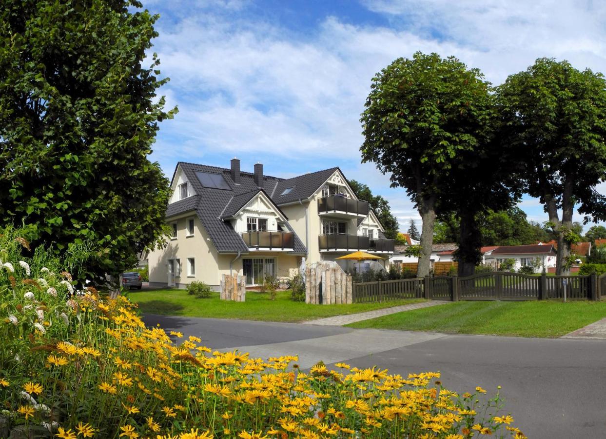 Neue Reihe 28 - Wohnung Vogelnest Zingst Exteriör bild